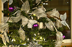 QUAIL PARK OF LYNNWOOD